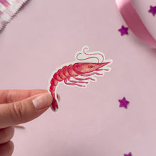 Load image into Gallery viewer, Shrimp Sticker
